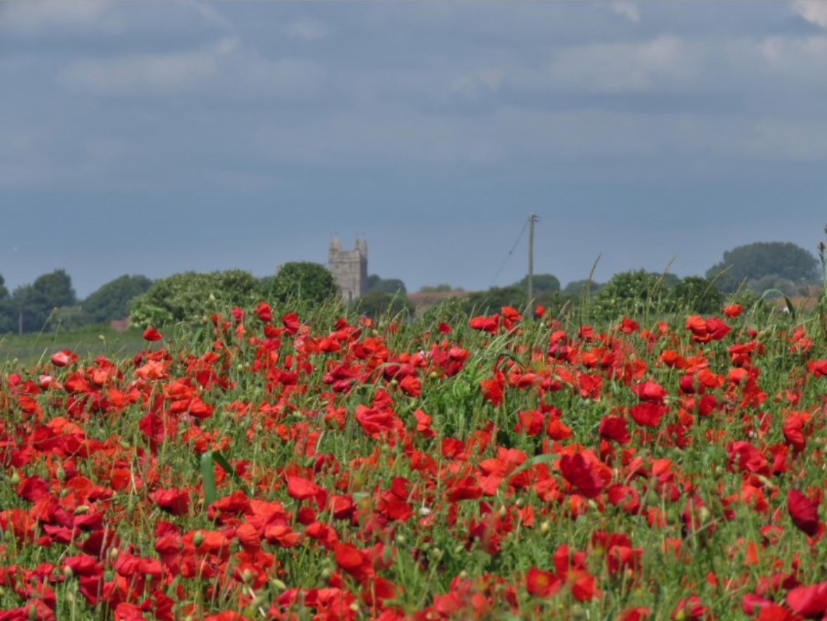 #Rememberenceday #LestWeForget  #WeWillRememberThem