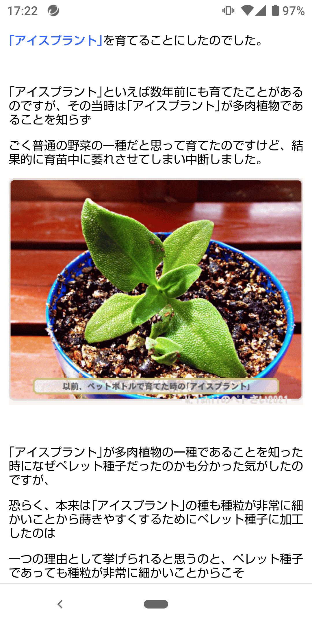 アイスプラント Twitter Search Twitter