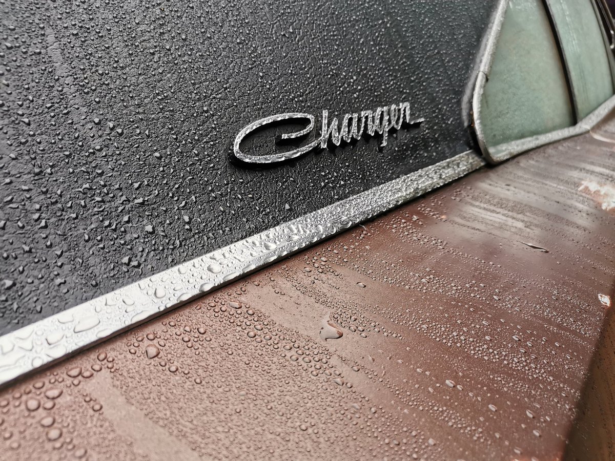 Carpervert's tweet photo. A bit of morning beading. https://t.co/bdJHyEvxxa