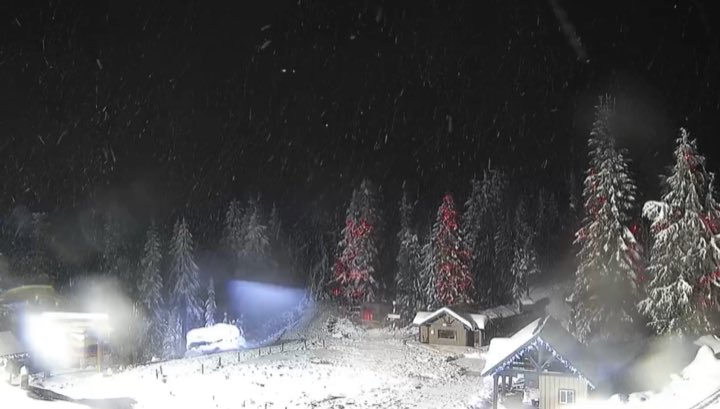 GoHawks! tweet media