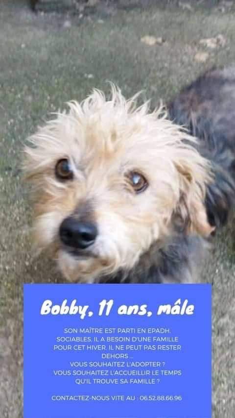 adnquarouble's tweet photo. 🆘 URGENCE ADOPTION OU FA🆘
Arche de noé quarouble
Nous recherchons d urgence une solution pour ces 2 Yorks de 11 &amp; 13  ans si possible ensemble.
Leur maître part en ephad, ils risquaient d être dehors et avec le froid qui arrive ce n était pas envisageable.
+ d info en mp
Rtw 🙏 https://t.co/xMZadvPDxK