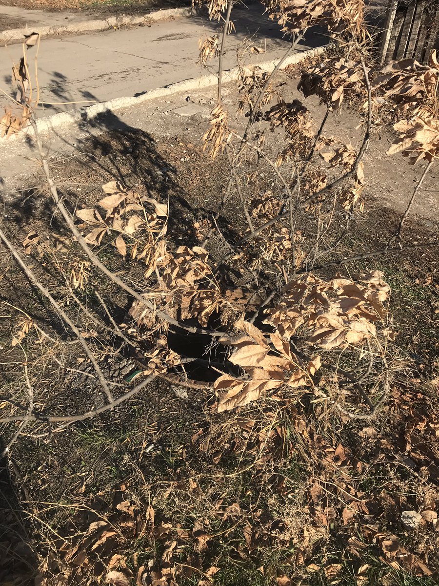 Ольга Слабко tweet media