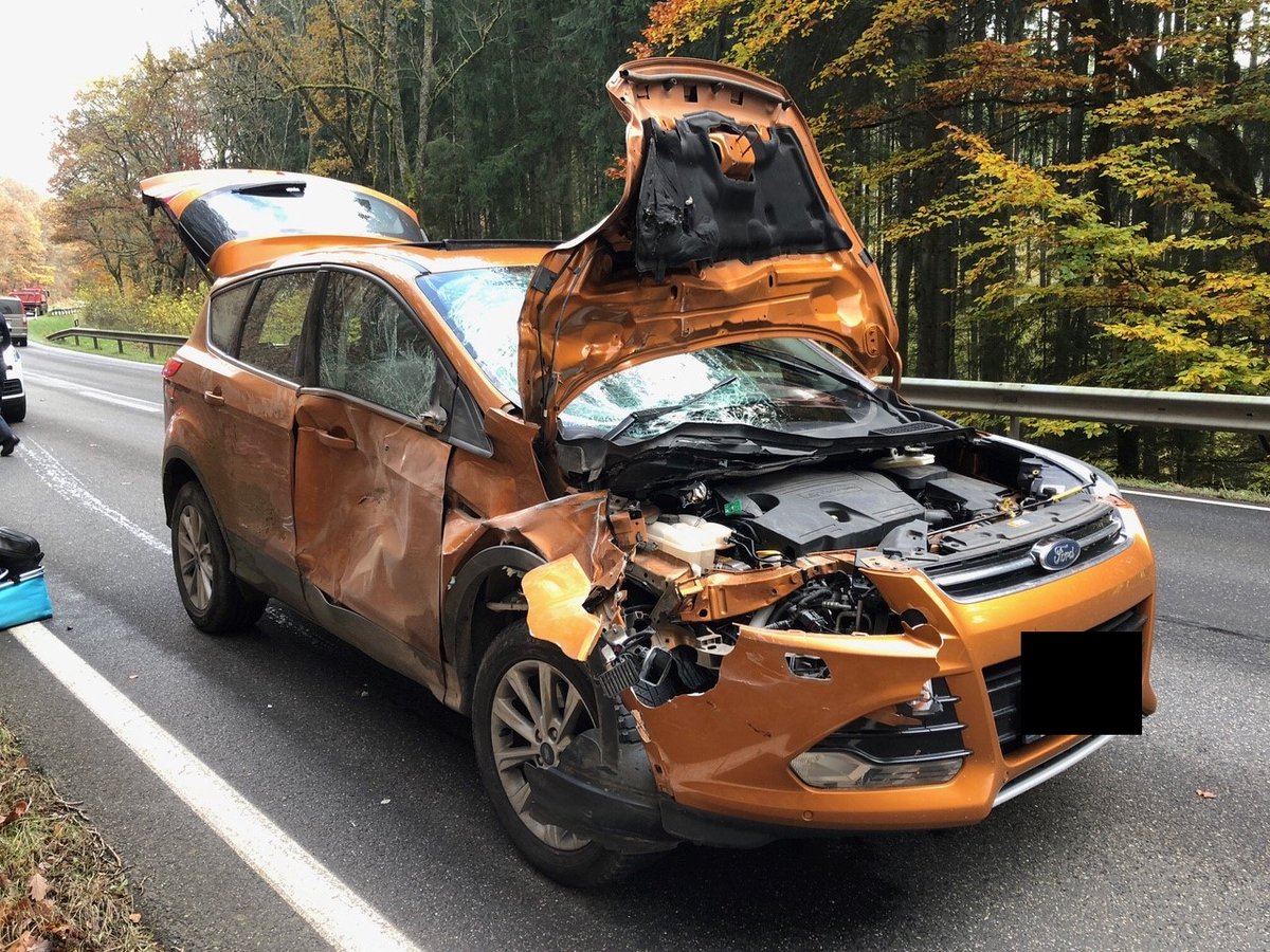 PolizeiTrier's tweet photo. Guten Morgen! 

Passt gerade im Nebel und der Dunkelheit gut auf, die Gefahr von Wildunfällen steigt. Erst vergangene Woche hat sich bei #Gerolstein ein Unfall mit einem Hirsch (Foto) ereignet. 

#Hasborn; 
B 407, #Kell; 
#Bitburg; 
#Olzheim, 
B 51; #Bernkastel

*ksc https://t.co/ArgSSRMqAD