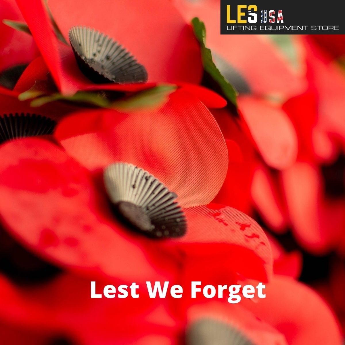 LiftingStoreUSA's tweet photo. 11-11-21

#Lestweforget #RemembranceDay2021 US https://t.co/X2qDyxqrMO