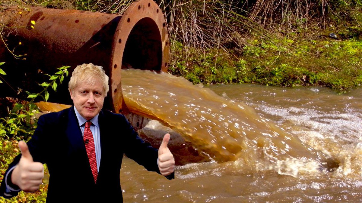 BrexitBuster's tweet photo. @ResistUK1 @Lindaukc21 Now the Tory cesspit is positively overflowing… into our rivers, around our coast and poisoning our land. #ToxicTories #ToxicWasters #TurdReich #TurdWorldCountry #TorySewageParty #StoolBritannia https://t.co/hPx8m3cGfG