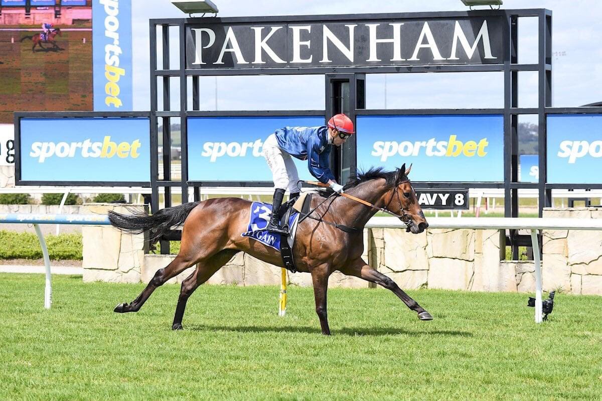 MapperleyStud's tweet image. Project Gutenberg steps up in trip and wins easily at Pakenham Racing Club. The son of #Complacent looks an exciting staying prospect for trainer Joe Waldron. 

Project Gutenberg was a $80,000 purchase by Ben Kwok / Bevan Smith at the 2019 Inglis Ready to Run Sale