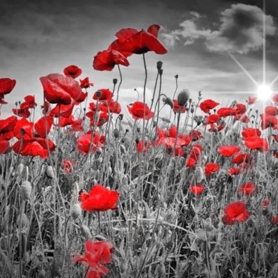 glennbar73's tweet photo. #NewProfilePic https://t.co/EmDathAgdl