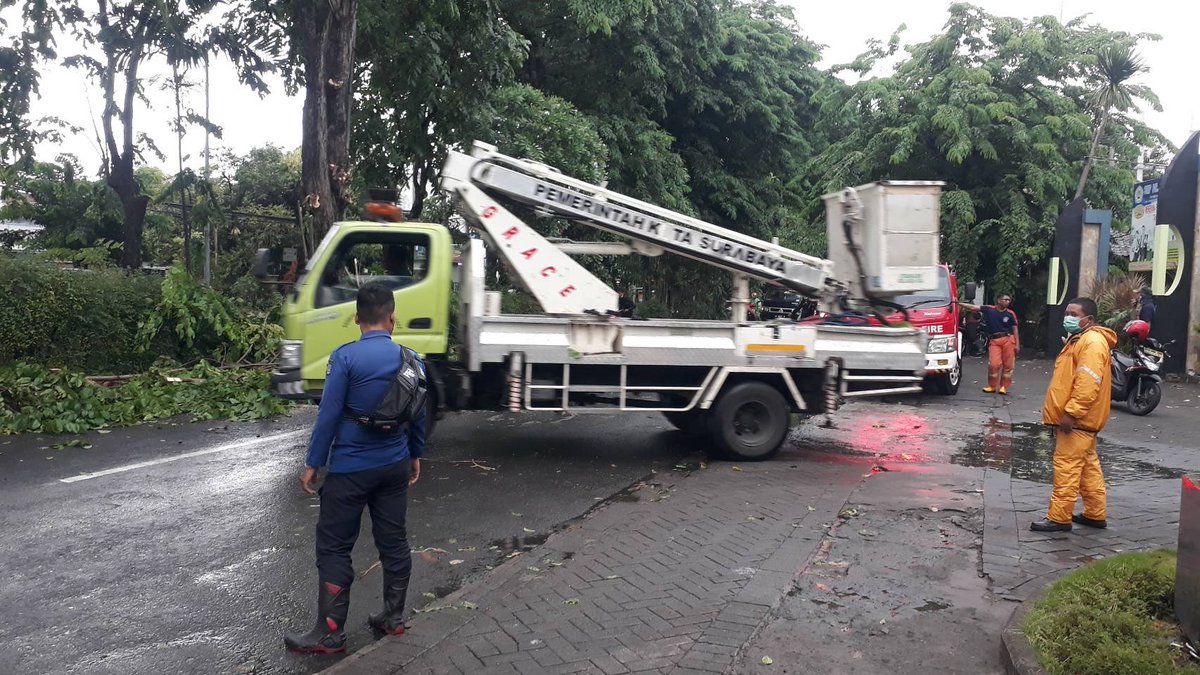 satpolppsby's tweet photo. Apalagi dikhawatirkan terjadi pohon tumbang โ๐ณ๐
Apabila menemui hal yang serupa dapat segera melapor ke petugas terdekat ๐ฎโโ๏ธ๐ฎโโ๏ธ atau langsung saja hububgi 112 โ (bebas pulsa ๐)
.
#satpolppsurabaya #infosurabaya #call112 #commandcenter112 #surabaya #pohontumbang https://t.co/UdDJy44hP6