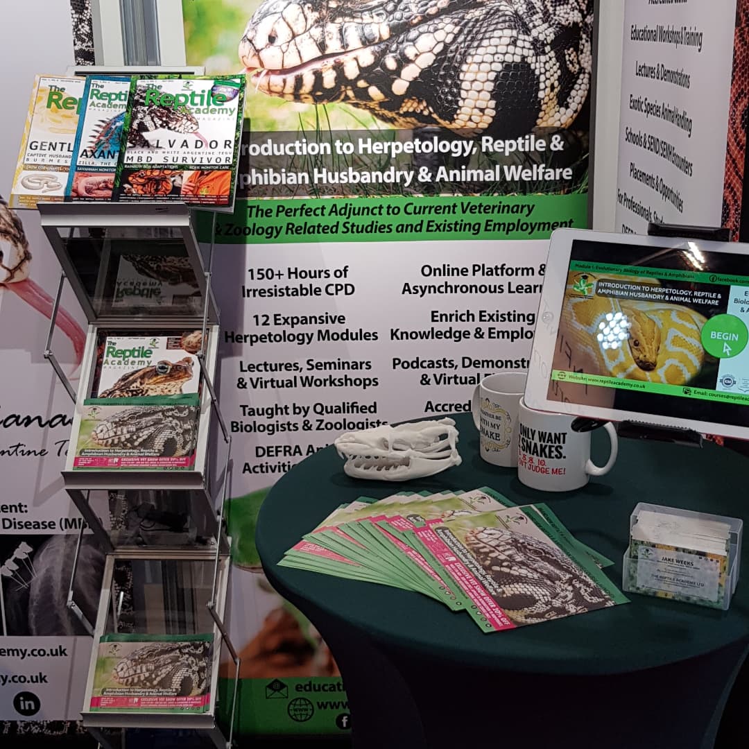 ReptileAcademy's tweet photo. Exhibition Day! Today we're finally at The London Vet Show 2021 at Excel London. Come and find us on stand L17 to chat about our training course. 

We have some interactive activities including skulls and microscopy on the topic of reptile evolution. 

#vet #reptile #amphibian https://t.co/7xtfPzEWwx