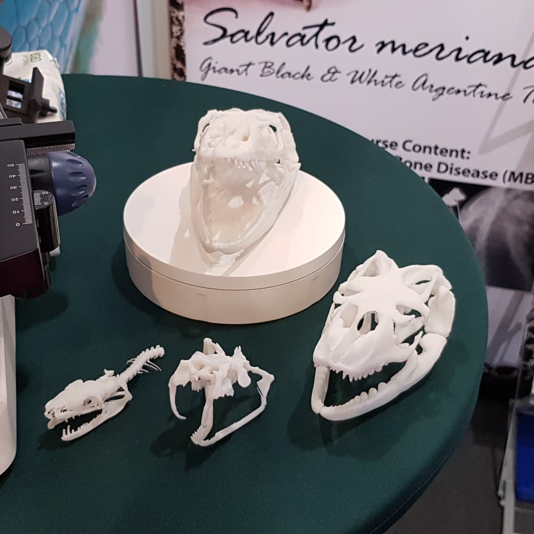 ReptileAcademy's tweet photo. Exhibition Day! Today we're finally at The London Vet Show 2021 at Excel London. Come and find us on stand L17 to chat about our training course. 

We have some interactive activities including skulls and microscopy on the topic of reptile evolution. 

#vet #reptile #amphibian https://t.co/7xtfPzEWwx