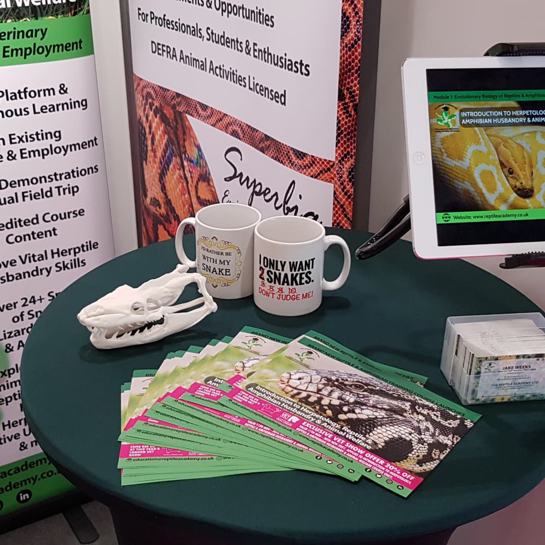 ReptileAcademy's tweet photo. Exhibition Day! Today we're finally at The London Vet Show 2021 at Excel London. Come and find us on stand L17 to chat about our training course. 

We have some interactive activities including skulls and microscopy on the topic of reptile evolution. 

#vet #reptile #amphibian https://t.co/7xtfPzEWwx