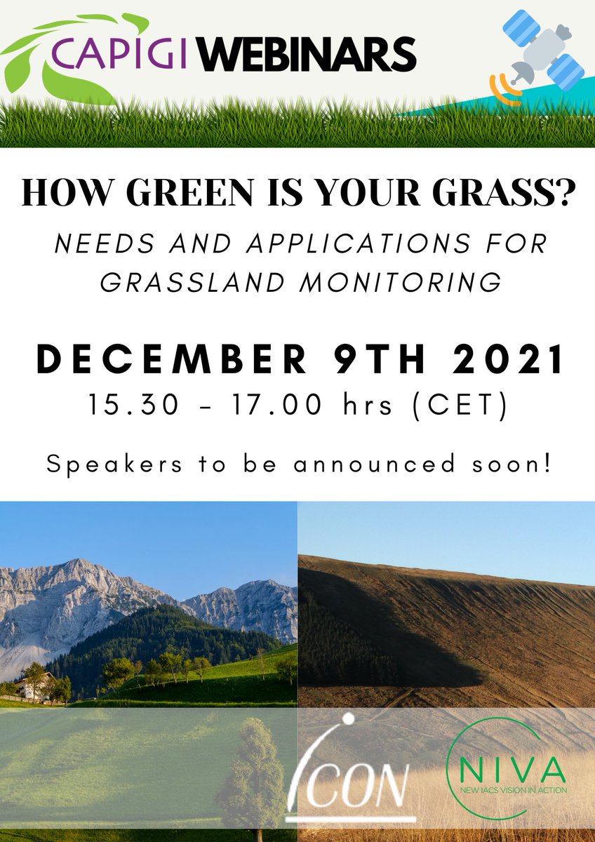 CAPIGI Foundation tweet media