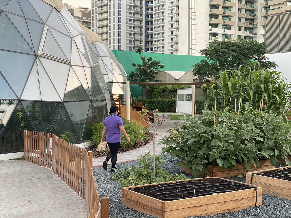 ArborPrimary's tweet photo. A sincere appreciation🙏🏼to our committed ‘Green Team’👩🏼🌾👩🏾🌾👨🏿🌾 @ArborDubai, who driver on our #ArborPromise daily🌍💪🏼🌱💦. A walk through the #biopark is good for anyone’s soul and a chance to reconnect🕊🥰👊🏽#OneTeam #ecoliteracy #sustainability #environmentalsocialjustice #SDGs https://t.co/wKXAlxMya9