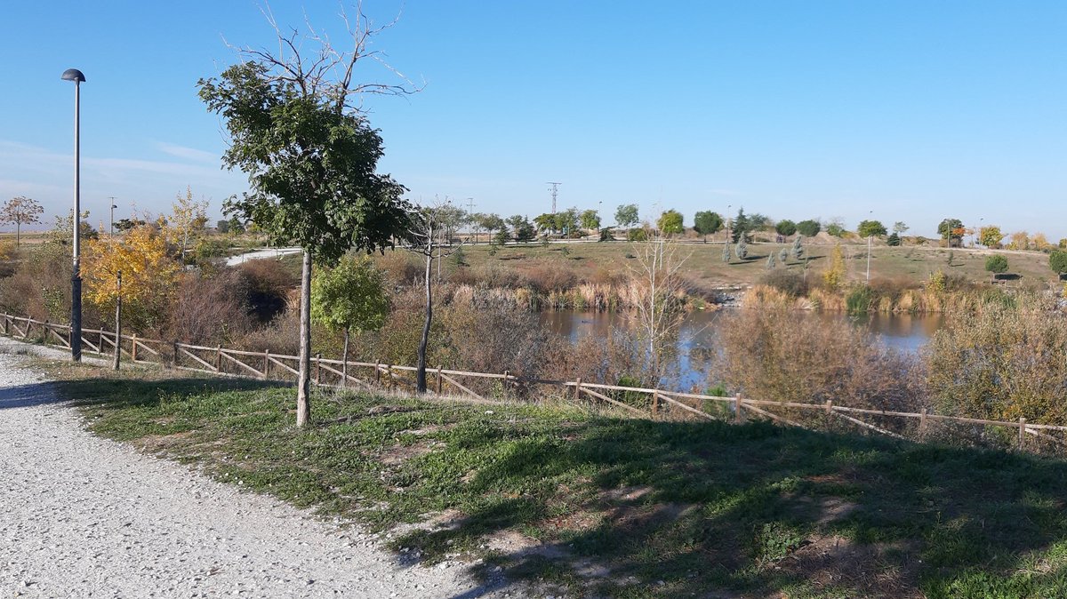 El maravilloso parque Nelson Mandela,Móstoles, paraje singular de actividad física y ocio, está deficientemente iluminado por la noche en varios tramos, produciendo accidentes e inseguridad. Por favor, arreglen la iluminación lo antes posible Gracias <a href="/AytoMostoles/">Ayuntamiento de Móstoles</a> <a href="/Noelia_posse/">Noelia Posse/❤️</a>