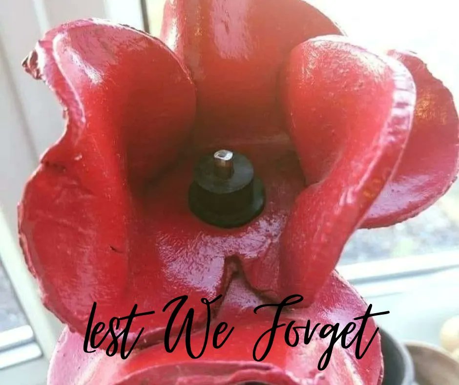On the 11th hour of the 11th day of the 11th month we will remember them.
Thinking of all those who have fought and gave their lives so we can have ours. We thank you 🌺  #RemembranceDay #LestWeForget