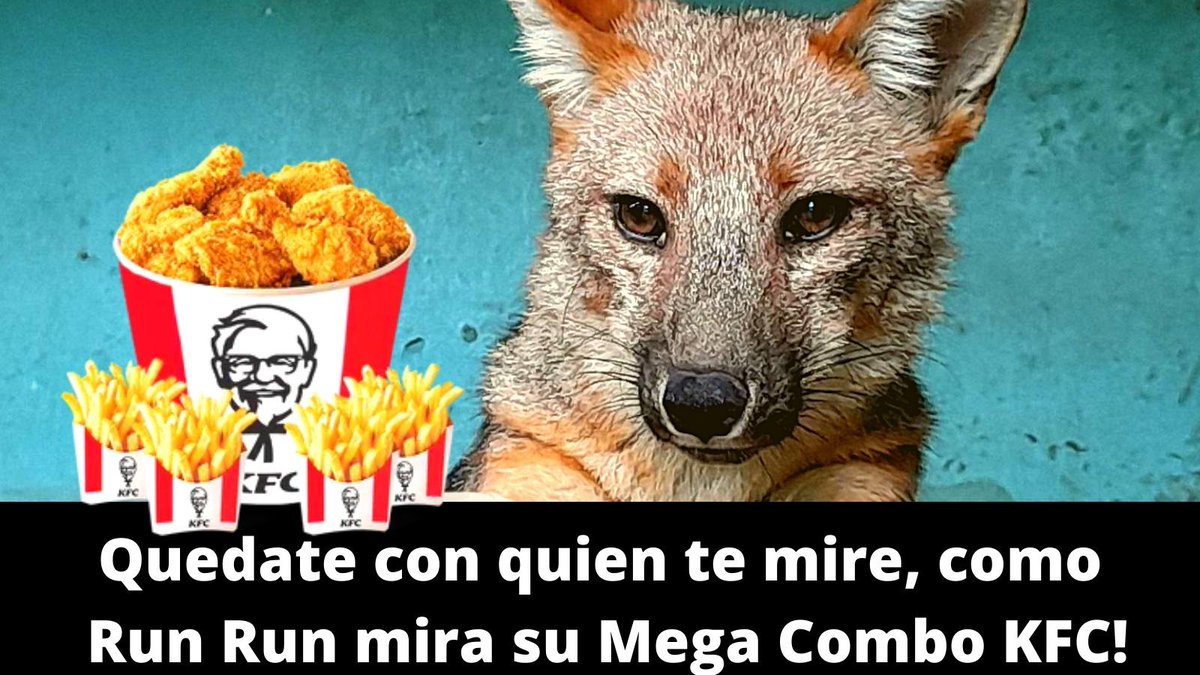 PeruKfc's tweet photo. Se tenia que Decir y se dijo! 🤣🤣 #KFC_RUNRUN #HUMOR https://t.co/INDhQ1oQsT