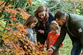 Saturday 13 November     Wild Families – Autumn Drop In Session  12:00 noon – 2:00pm,  There will be a range of crafts and activities that children and their adult friends can take part in.  By children's playground #HLFsupported