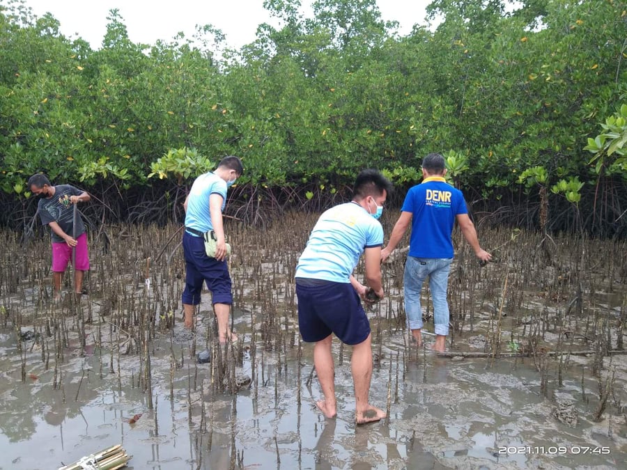 bppo_pro7's tweet photo. @RDPRO7 @rpcrd7pnp @bppo_pro7 “ACCELERATING REHABILITATION OF TREES: MANGROVE NURSERY ESTABLISHMENT AND REHABILITATION (PROJECT ART)” https://t.co/TYGHDbSgus