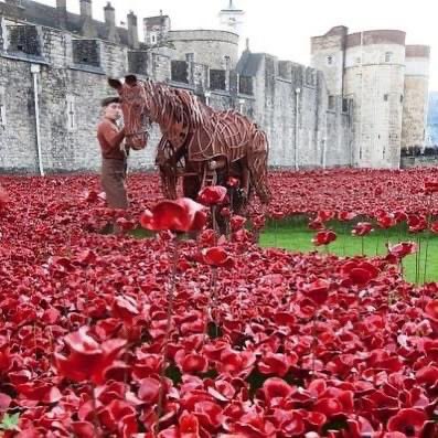 At the going down of the sun and in the morning, we will remember them.

#remembranceday #lestweforget