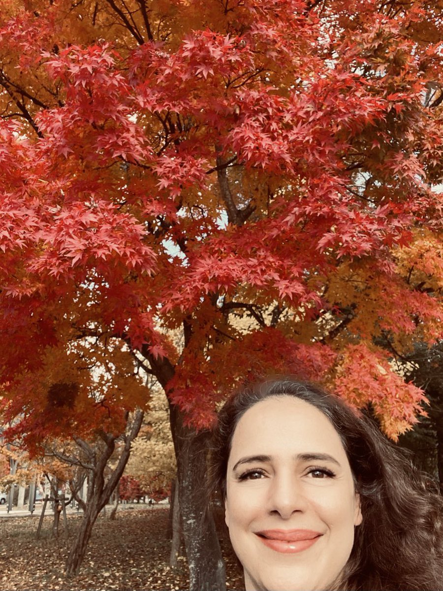 bastileila's tweet photo. 紅葉. Autumn in Japan. L’automne au Japon. https://t.co/mmFup5Wnpn