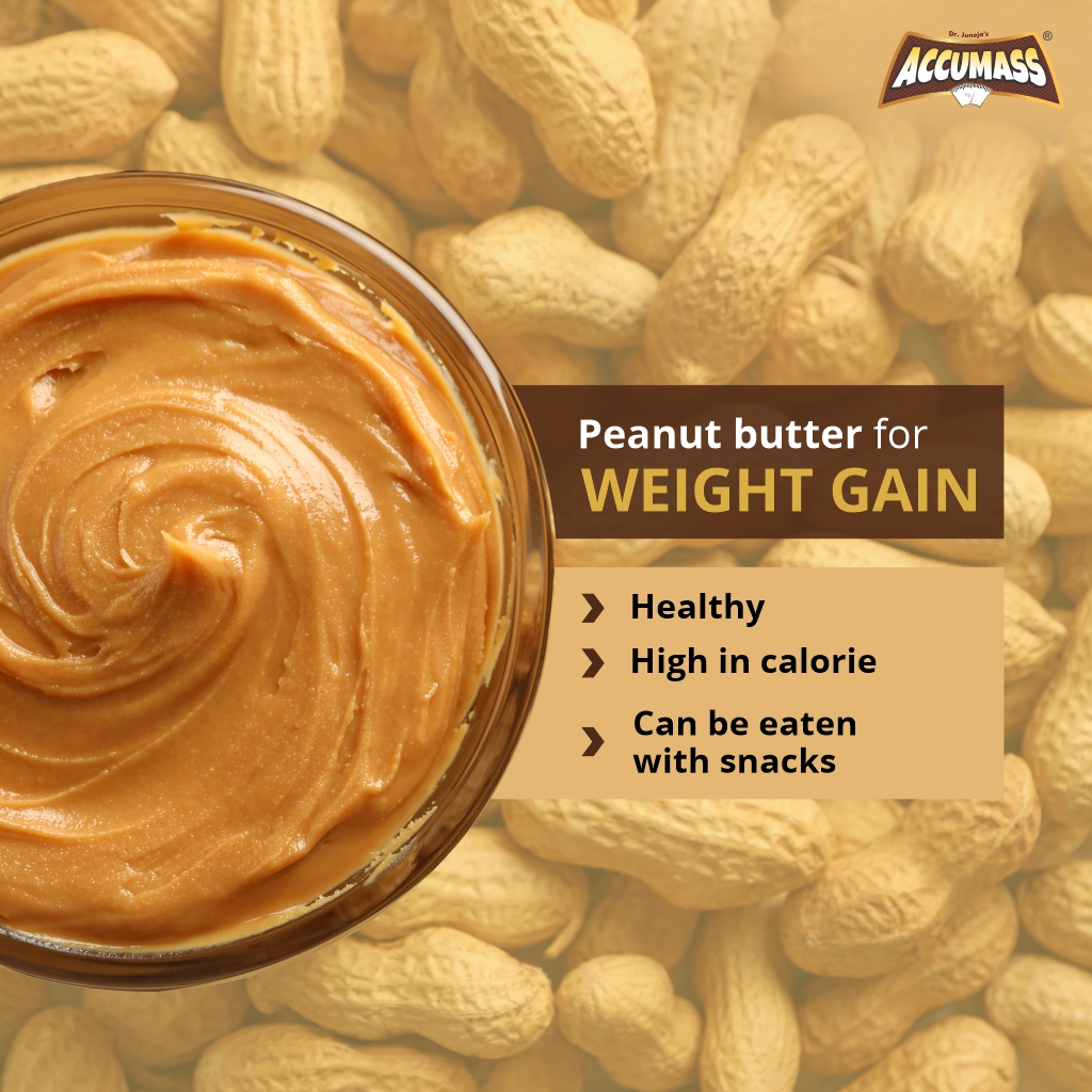 Can Maltese Eat Peanut Butter