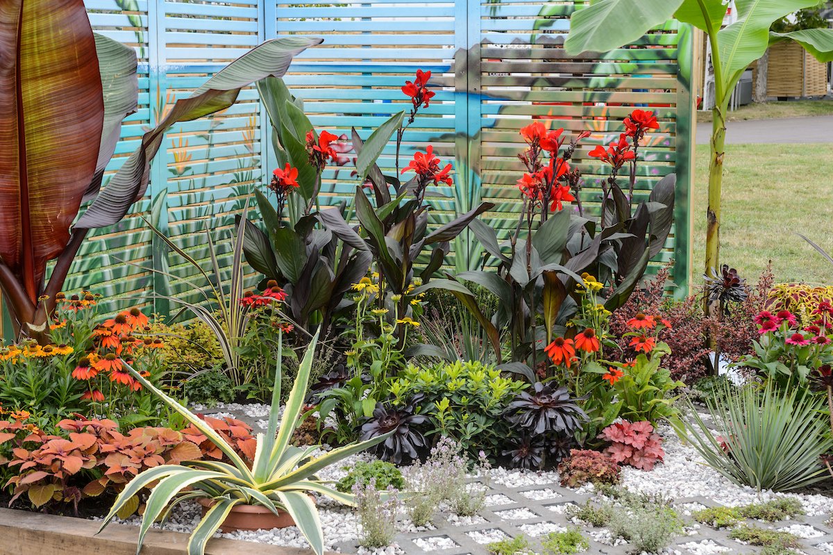 BBCGWLive's tweet photo. #TBT to Cath Fletcher’s Beautiful Border at the Special Edition

In Momento by @FletchHort was all about the power of plants gardening to be a fun, indulgent, experimental experience.

If you’ve got an idea for the Beautiful Borders find out more here: https://t.co/XI0WBSK7YF https://t.co/ENqFgs7n79