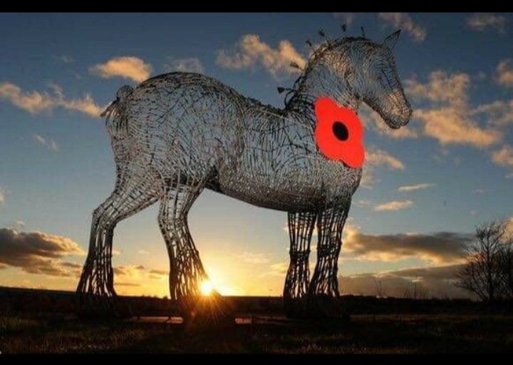 We will remember them ❤💜