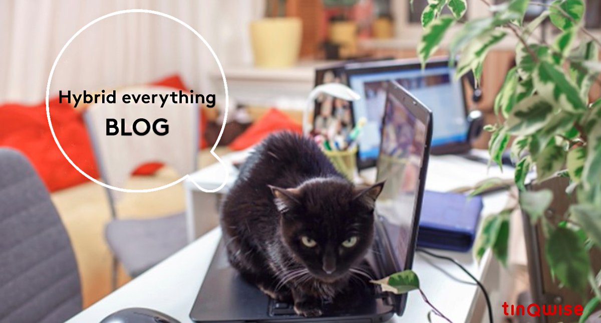 How do you keep new employees engaged in a hybrid work life? Read the blog for insightful tips. tinqwise.nl/en/blog/hybrid…