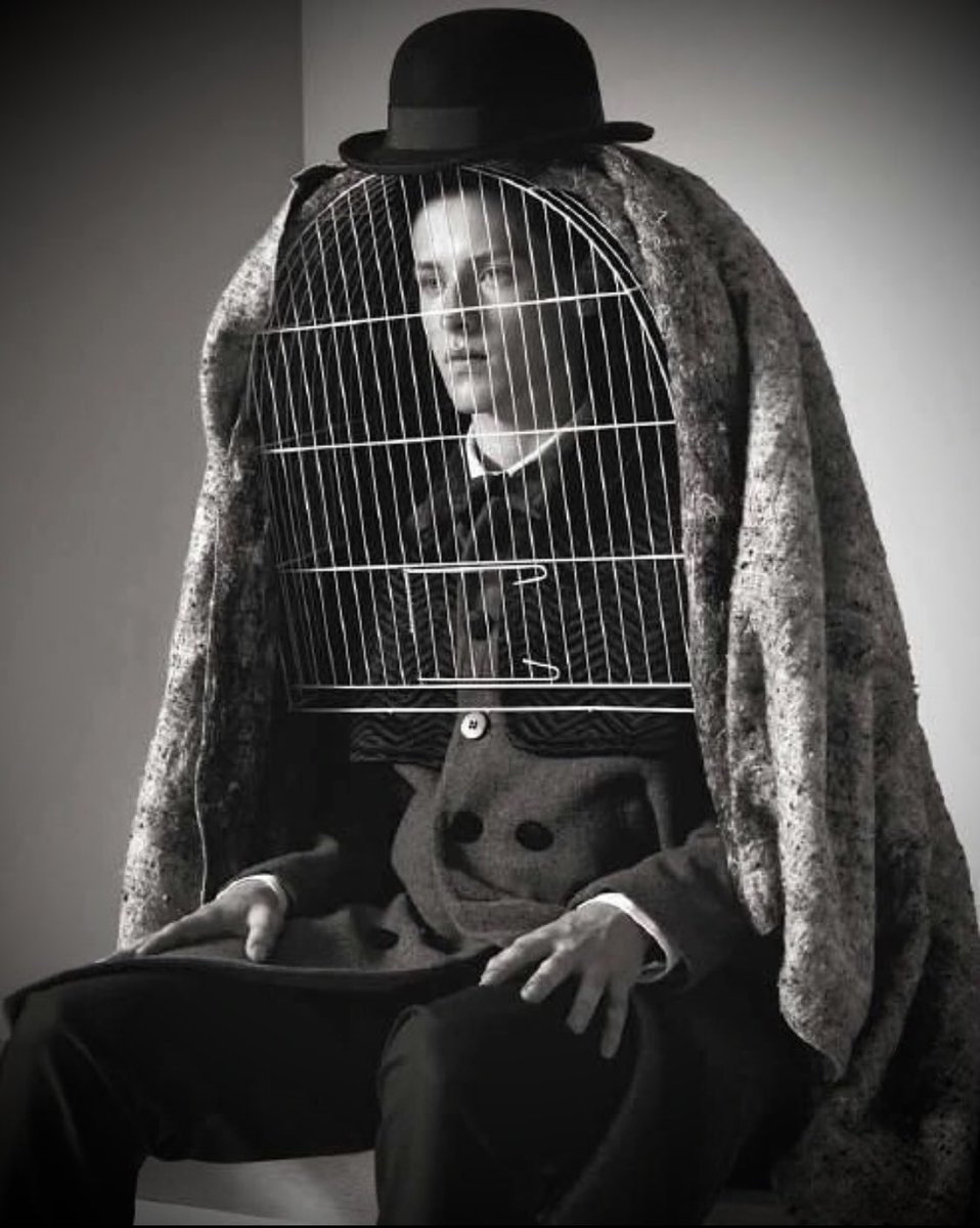 David Campos tweet media