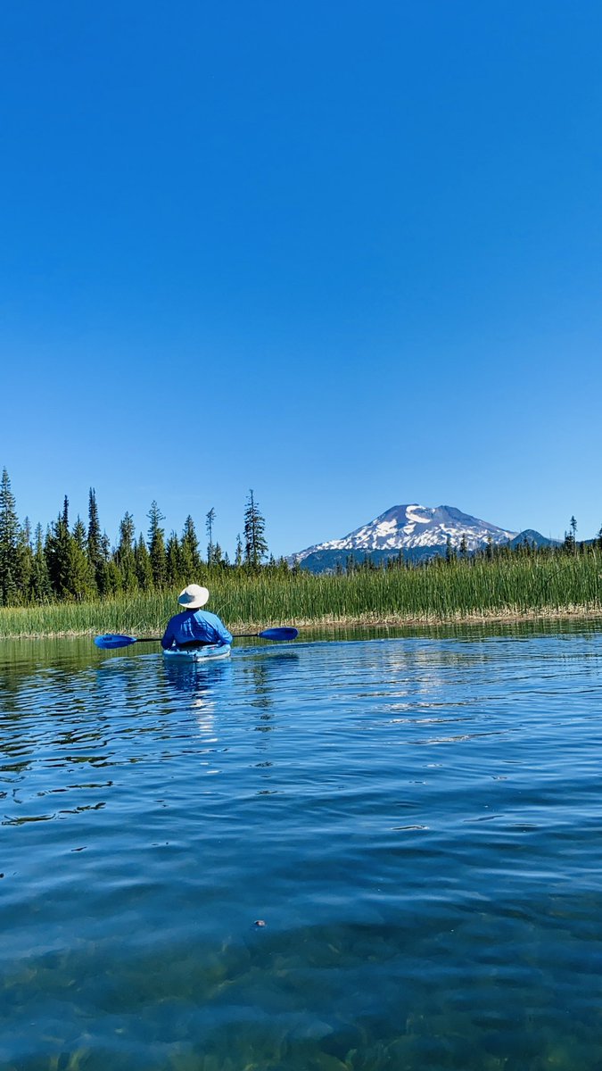 savkauf's tweet photo. Where I wanna be… https://t.co/uibAql6FPT