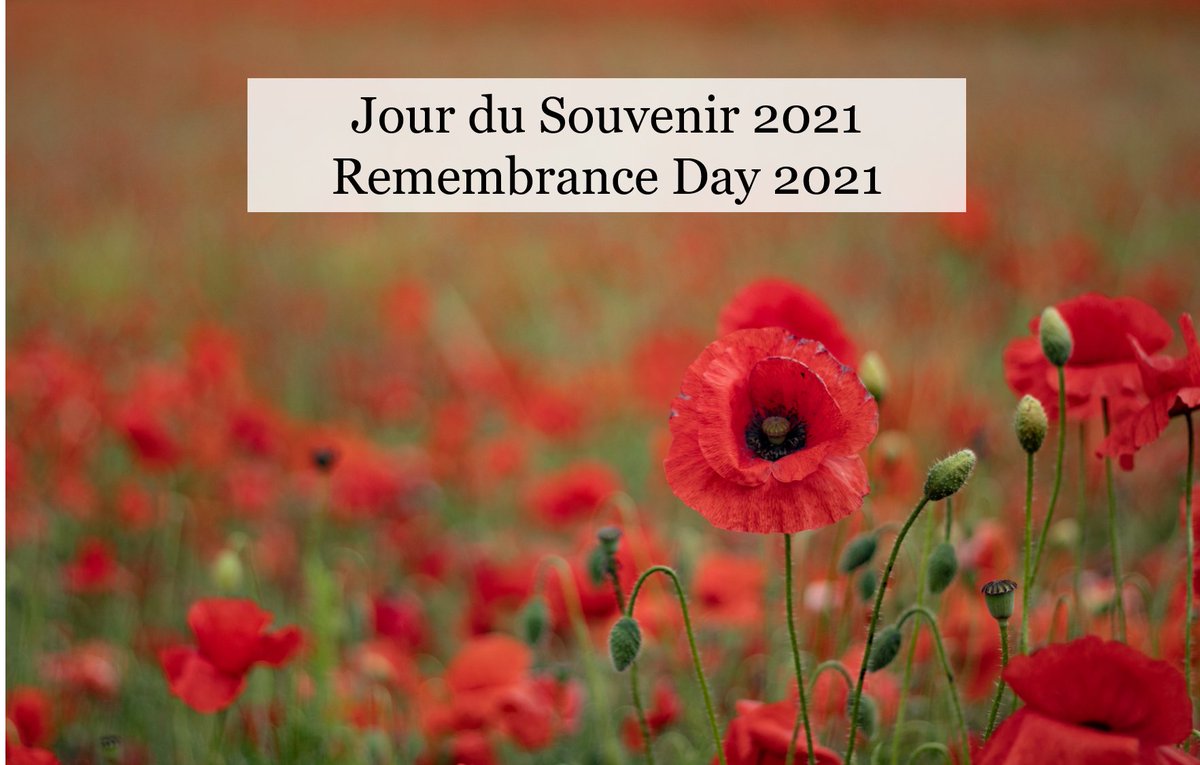 #LestWeForget #RemembranceDay
#NoublionsPas #JourduSouvenir