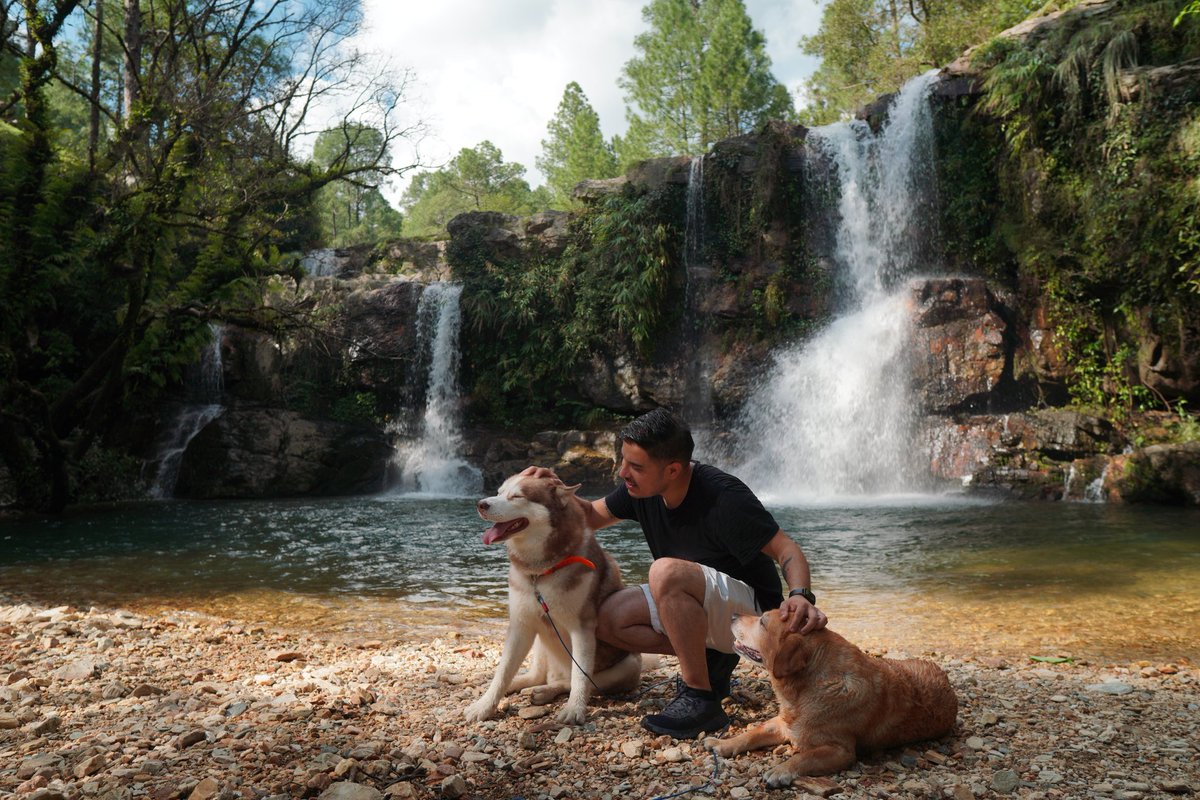 HimalayanHusky2's tweet photo. Finally we are on Twitter. Hoping for the same kind of love like always. ❤️ https://t.co/wqfu2CKfVY