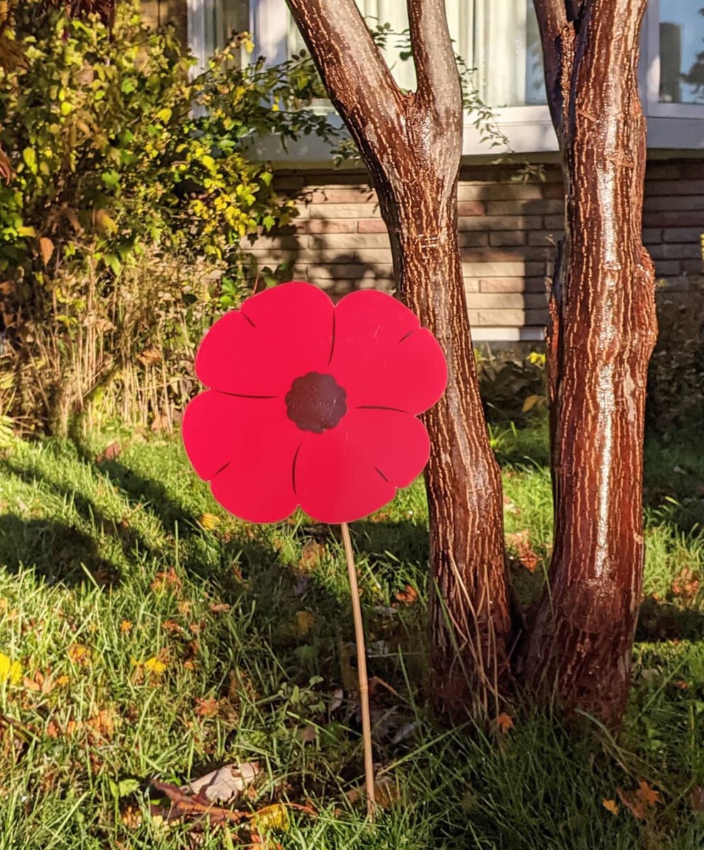 MindYourself_A's tweet photo. I'll be taking an extra moment of silence this #RemembranceDay &amp; all future Remembrance Days to honour the #Indigenous, Black and other POC soldiers that fought and sacrificed and still faced injustice. 

#remember #remembering #remembrance #blacklivesmatter #poppy https://t.co/LD0J8fS8Kg