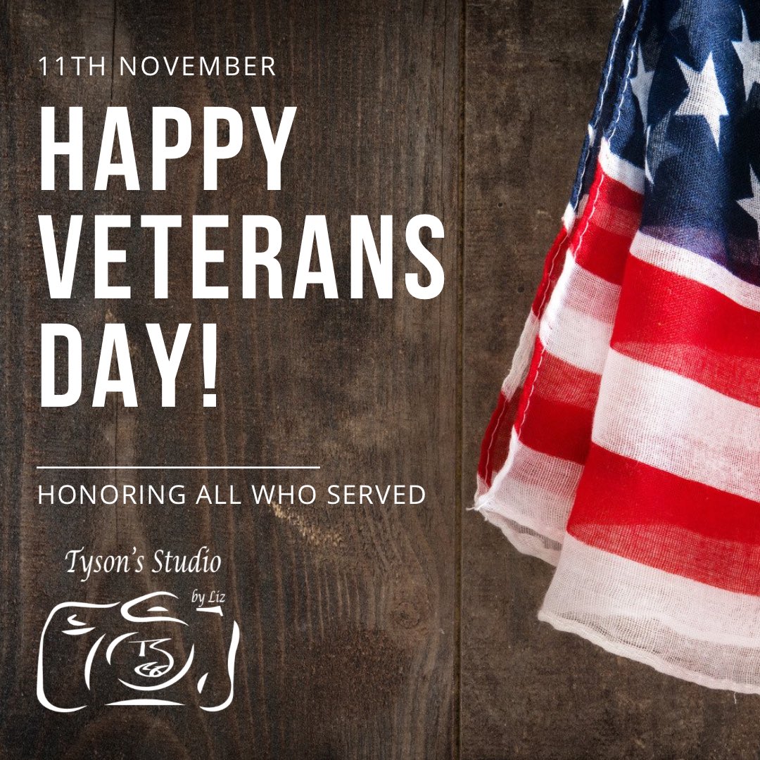 TysonsStudio's tweet photo. #VeteransDay #Veterans #ThankYou #Service #OurHero #Freedom #TysonsStudio #TysonsStudiobyLiz https://t.co/IOEcjIboyd