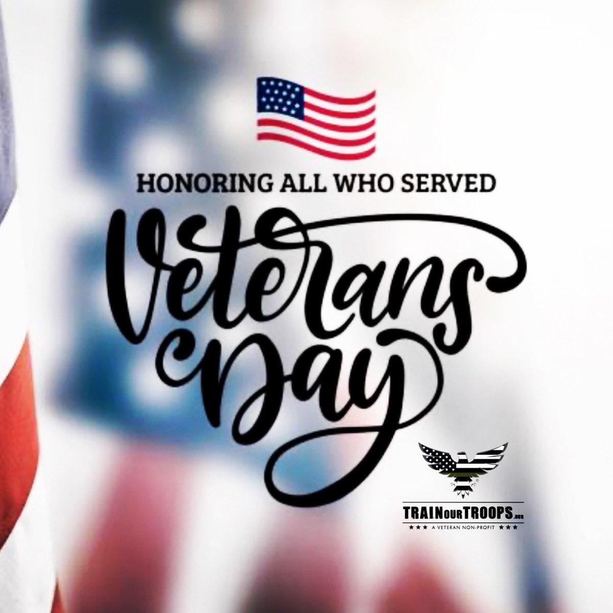 TrainOurTroops's tweet photo. Today we honor and remember all our veterans. Thank you to all who have served, both past and present. We are grateful for your commitment and sacrifice for our freedom. #veterans #military #freedomisntfree https://t.co/d0mbKevYiY