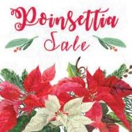 CCSD2014's tweet photo. Central Columbia band is having their annual poinsettia sale.
https://t.co/p5osFgbNxC https://t.co/eXE2fZ3HU9