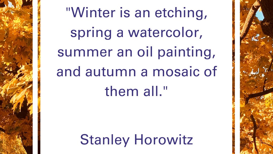thrivecharity's tweet photo. Here are some beautiful quotes that capture the joys of autumn 😊

What do you love about autumn?

#autumnwellbeing #autumn https://t.co/1MWel33tR3