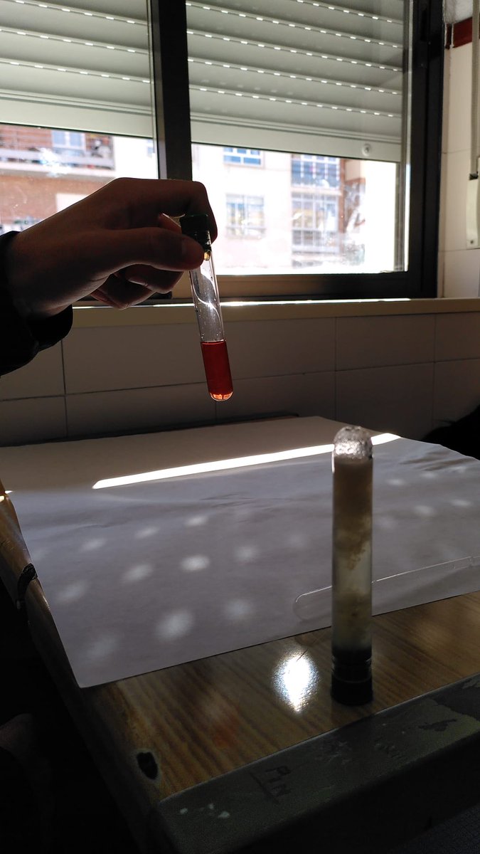 PastorinasLeon's tweet photo. Los alumnos de 4eso han realizado prácticas de laboratorio en el aula durante la #semanadelacienciaCyL en colaboración con el Departamento de Biología Molecular de la #ULE y la Asociación de Biotecnólogos de León.
#somospastorinas #juntosporlapaz #leonesp https://t.co/fPwAoU0HMg