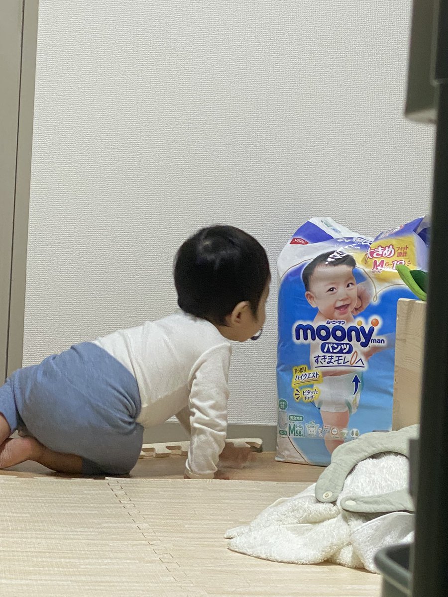 loveyming's tweet photo. ムーニーマンの赤ちゃんがお友達かと思って近づいていく坊ちゃんかわいすきか… https://t.co/7BPedhbb2D