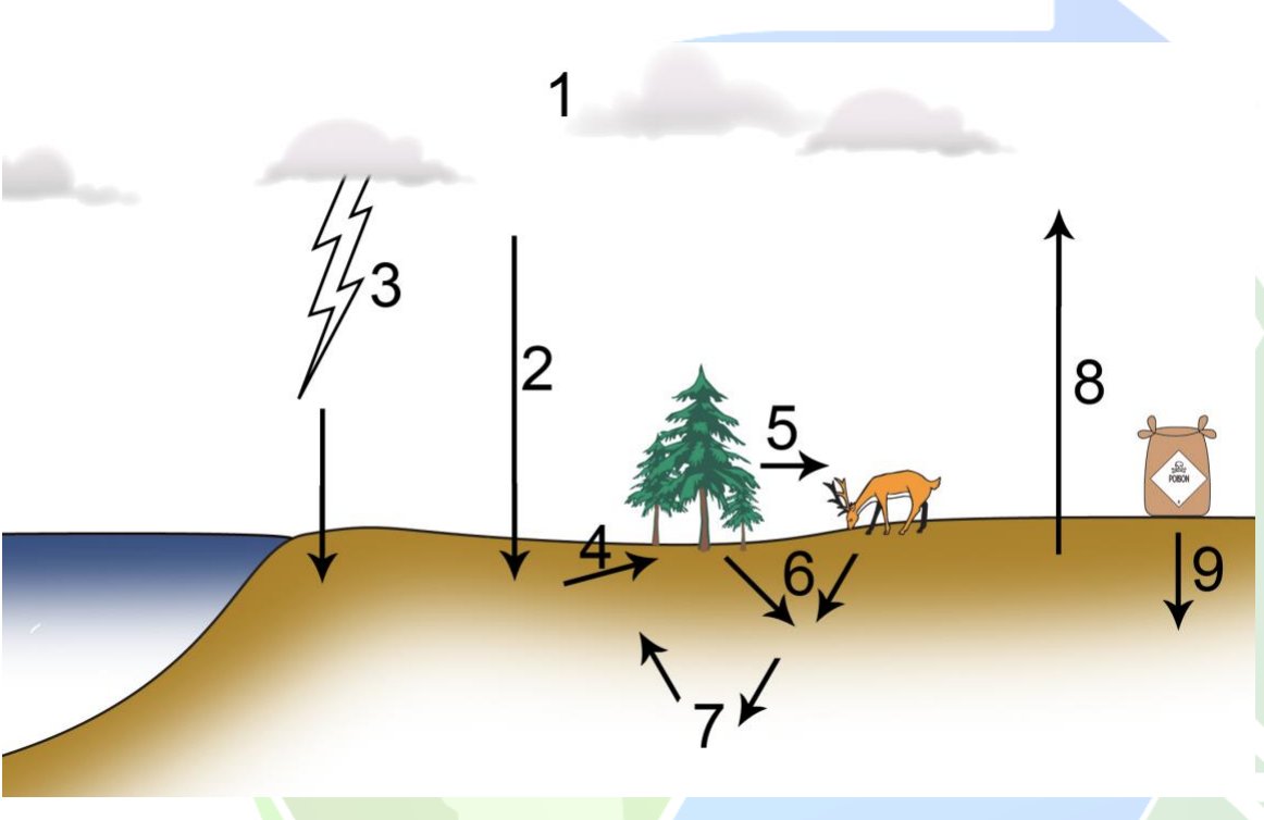 AlbertaTomorrow's tweet photo. Lesson Plan Feature: Bio 20 - Biogeochemical Cycles and How we Disrupt Them! Anyone know what cycle this is? #landuse #waterquality #abwater #abfish #abag #abed #abteachers #abstudents #onlinelearning #enviroed https://t.co/fQYBwBwXkf
