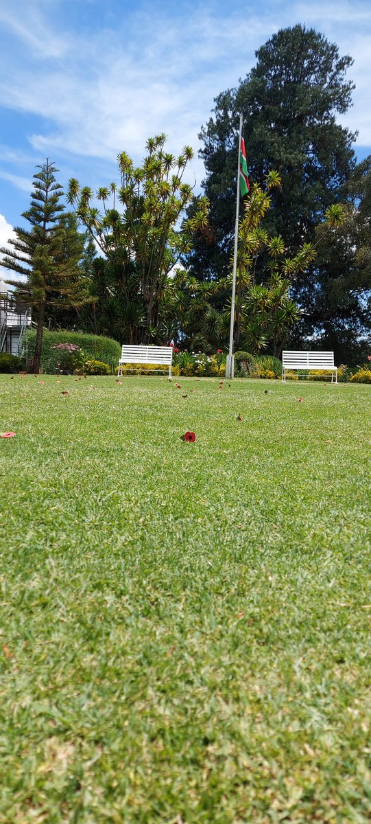 Turi_HeadPrep's tweet photo. Prep School pupils @St_Andrewsturi  paused at 11am for a Service of Remembrance. They planted their poppies in the Terrace. A beautifully poignant act of remembrance - our own Flander's Field. #WeWillRememberThem https://t.co/OaGXY4rvly