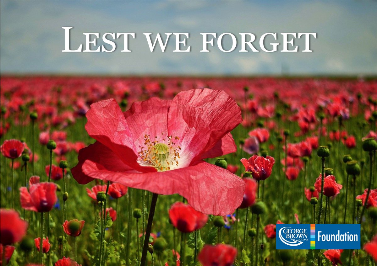 GBCFdn's tweet photo. This Remembrance Day, let's take a moment to remember our fallen heroes.
#lestweforget2021 #RemembranceDay2021 https://t.co/4O9SRhCmyx