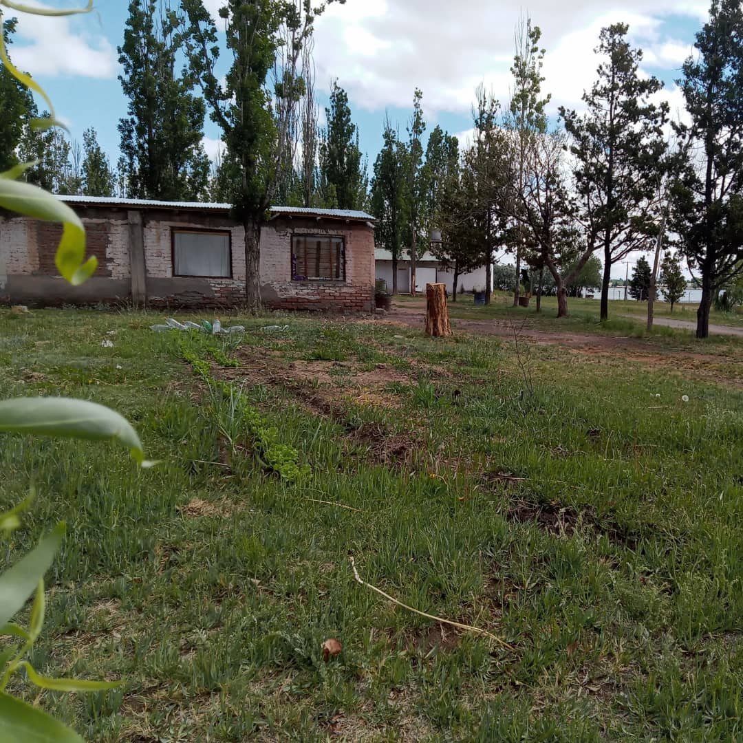 WillkakutiSR's tweet image. #Willkakuti🌞 visitó la huerta de #Caritas . Las lechugas cada vez más lindas 🌱 .
#programadeautonomiaalimentaria 
#plandeemergenciaalimentaria 
#tumunicipio