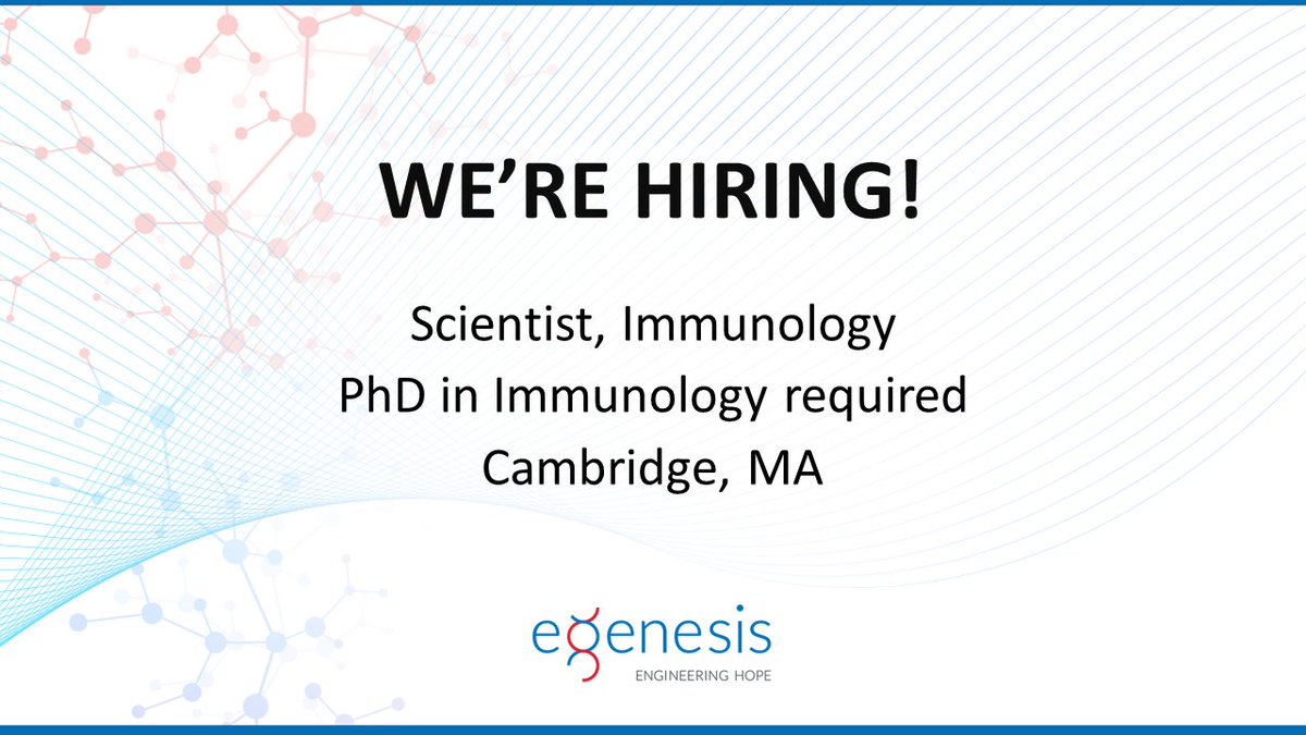 eGenesisBio's tweet photo. Seeking an innovative Scientist with a strong background in B cell immunology to join our team! 

Apply here: https://t.co/nfvZlm18v4 https://t.co/Wy83JQWI33