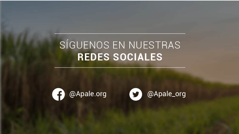 Apale_org's tweet photo. 🍃🌎 Desde #APALE impulsamos el desarrollo sostenible de la industria de #Biocombustibles renovables en #Ecuador ¡Sigue nuestras redes y conoce como el Programa Nacional de Biocombustibles constituye una apuesta por la calidad del aire y desarrollo del agro ecuatoriano! https://t.co/dbBM1vQYjP