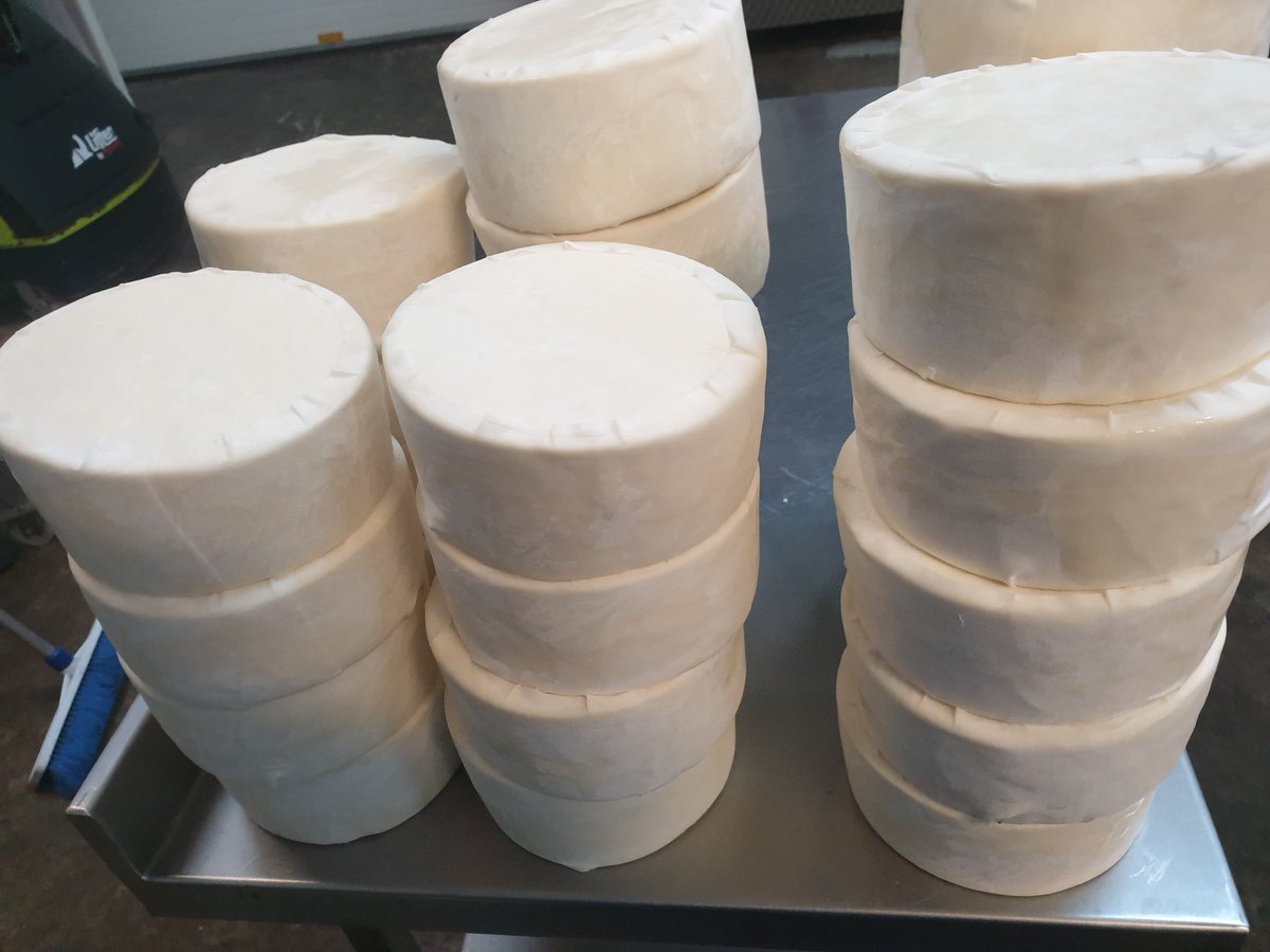 RibblesdaleC's tweet photo. Some new #GroovyGoat in the making; just found out our old cloth bandage supplier has found new owners be able to source more new cloths which is great news for the lovely people there & us!
These little beasties will be ready for the C word that isn't cheese and is in December. https://t.co/Yr1eKSVTXv