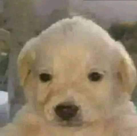 CaydeIsdeadlul's tweet photo. Me: the world is against me

My literature teacher: Sometimes I feel that, but I know it’s a lie, we all have problems and we have to find a solution
Me: https://t.co/gEo2Ns2hI9
