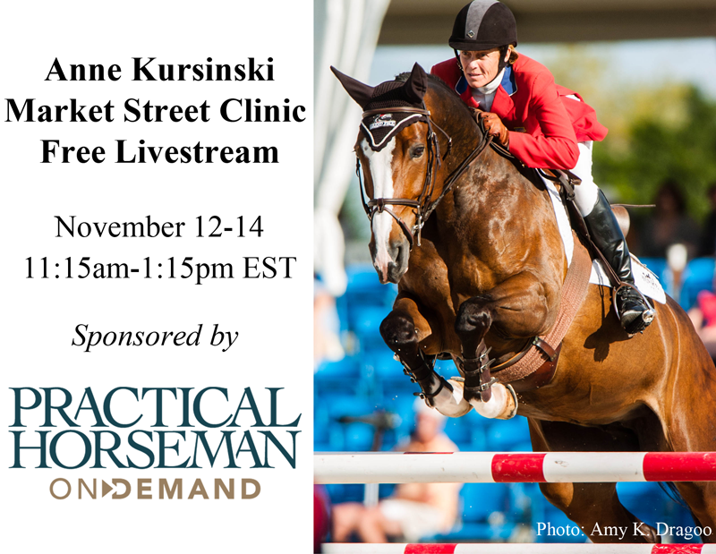 AnneKursinski's tweet photo. Tune in November 12-14 11:15am - 1:15pm EST to watch five-time Olympian Anne Kursinski teach a clinic at her Market Street Farm in Frenchtown, NJ.  Free Livestream sponsored by Practical Horseman On Demand. https://t.co/imeN1glL1B  - https://t.co/geIT2qfBpt https://t.co/sU2oQ0k2tT
