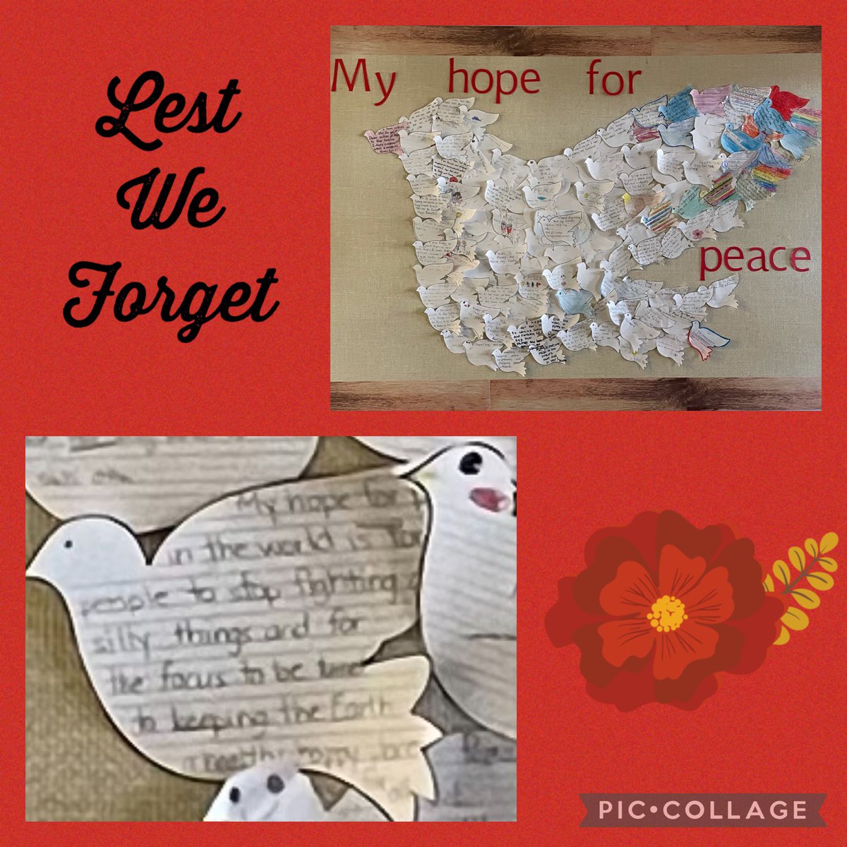 StBernadetteSchool (@stb_ccsd) on Twitter photo 