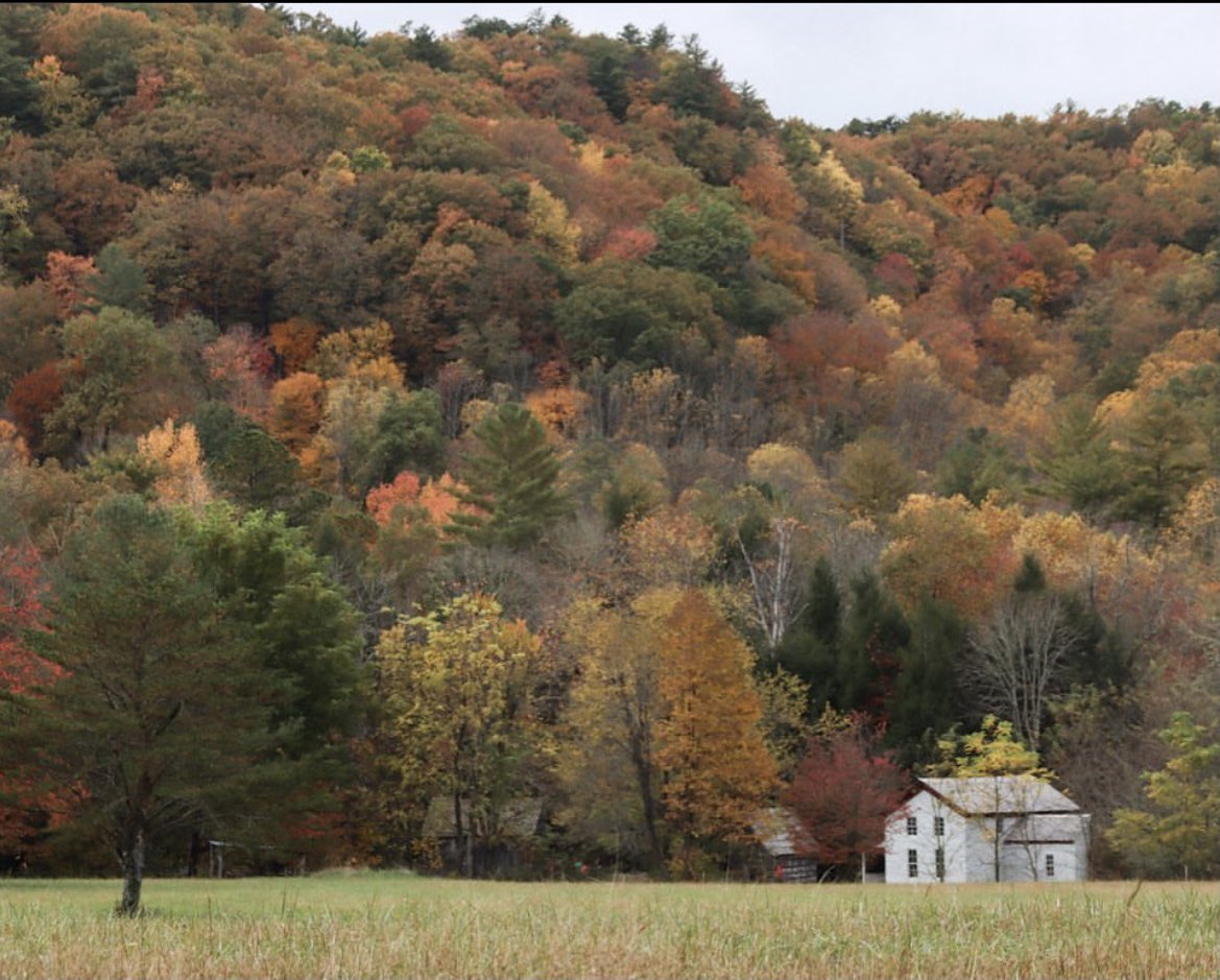 spencercrook's tweet photo. Been missin Tennessee a lot lately 🧡 https://t.co/kNPr5O7z8z